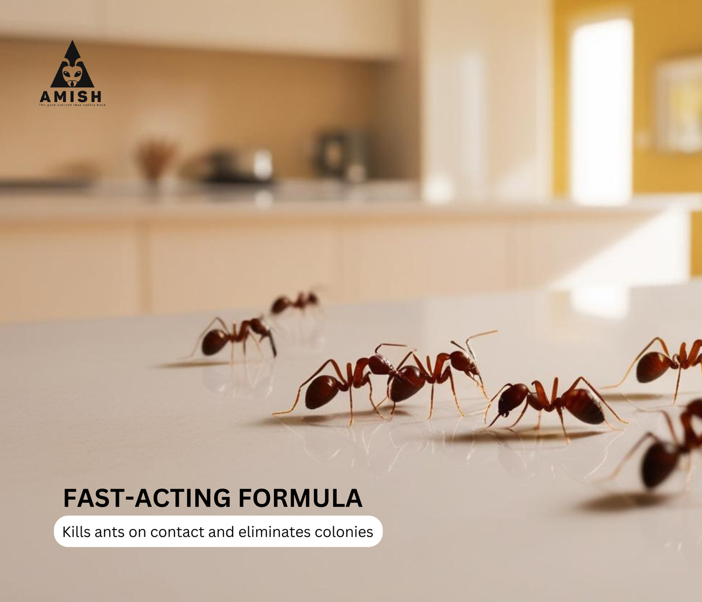 Ant Killer Powder Powerful & Effective Solution