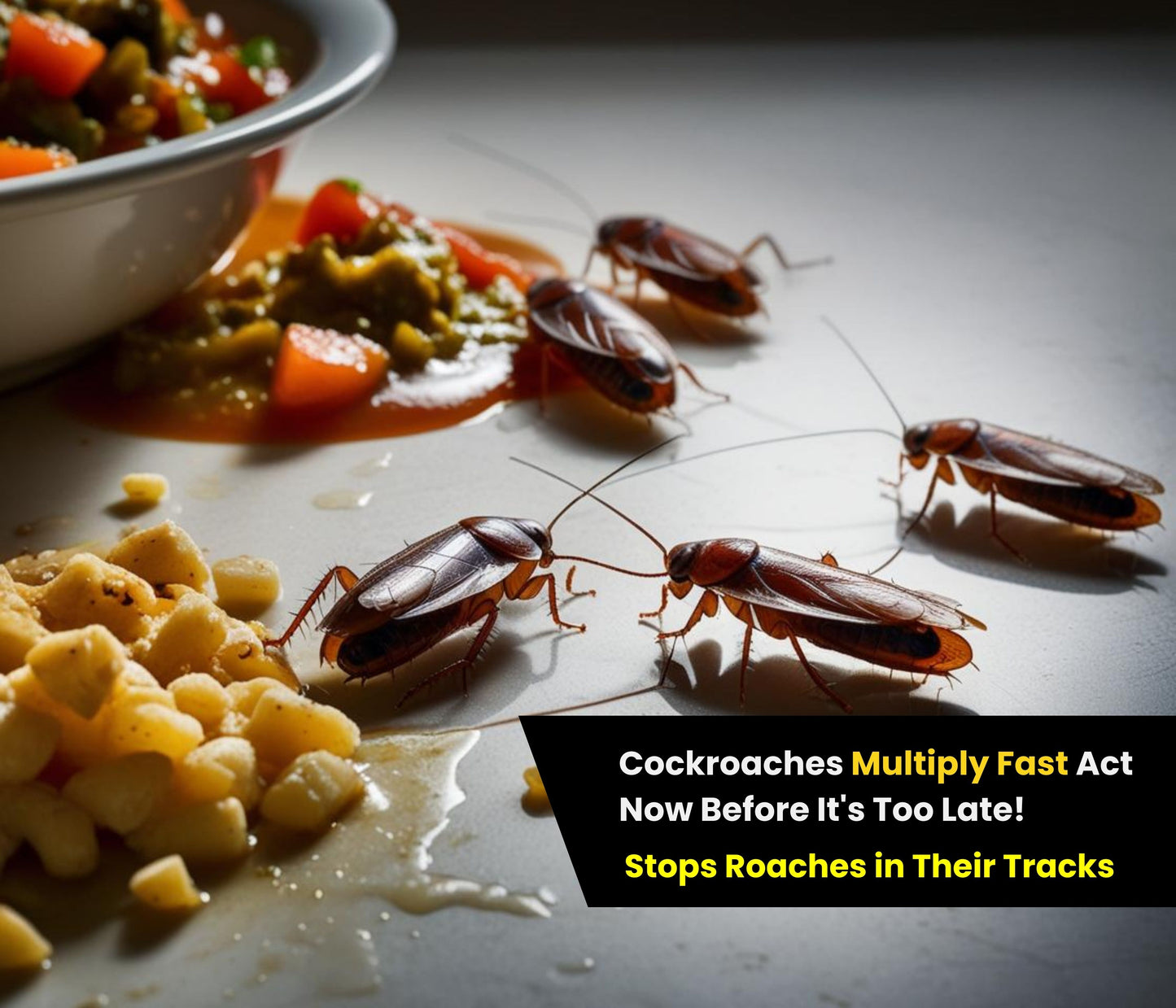 Amish Herbal Cockroach Killer Powder 100% Natural | Effective in 3 Days | with free ant gel