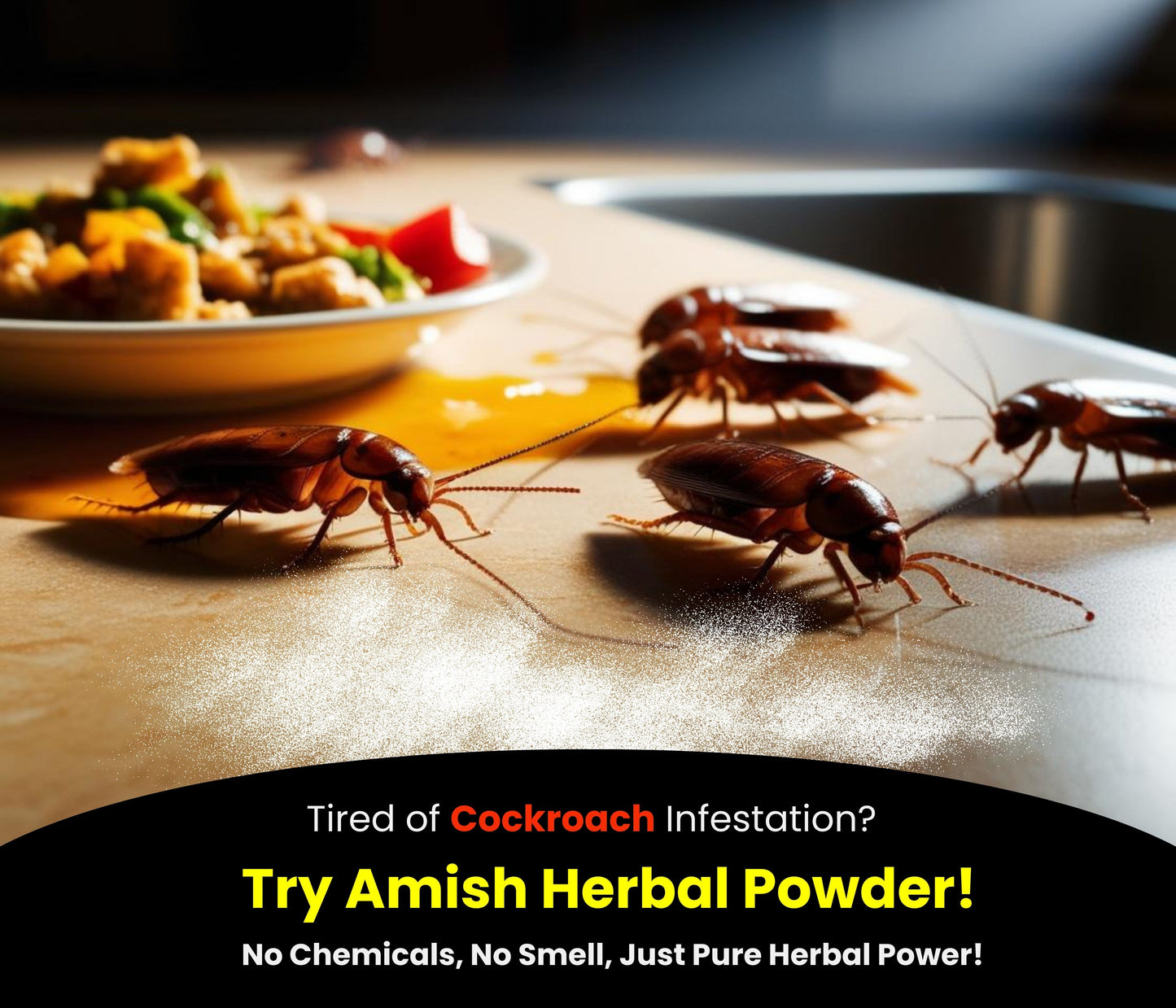 Amish Herbal Cockroach Killer Powder 100% Natural | Effective in 3 Days | with free ant gel