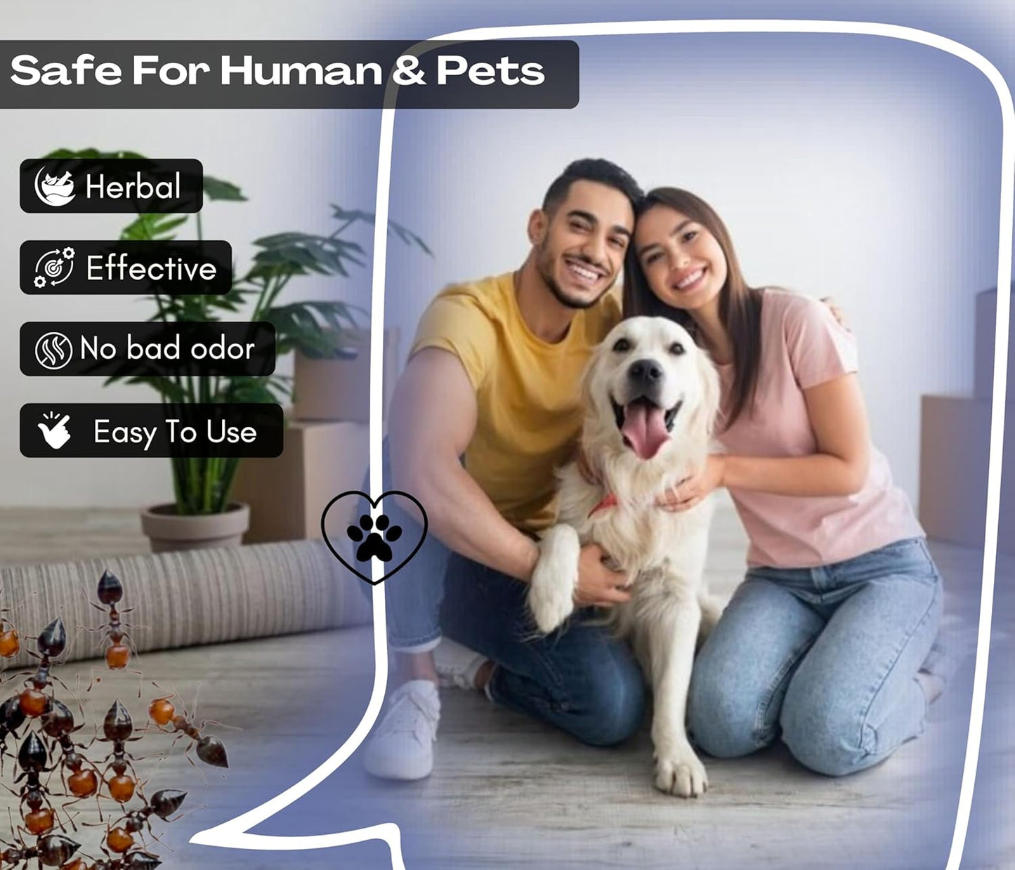 Amish A Herbal Ant Gel Injection | 10 Minutes Formula | Removes Entire Ant Infestation| Powerful Ant Repellent for Home | 100% Organic Ant Gel Bait for Home (Ant Injection)