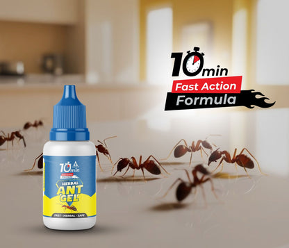 Amish A Herbal Ant Gel Pack of 2 | 10 Minutes Formula, 100% Organic Ant Gel Bait for Home & Kitchen Office & Garden