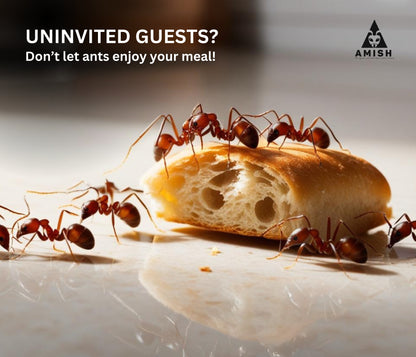 Ant Killer Powder Powerful & Effective Solution