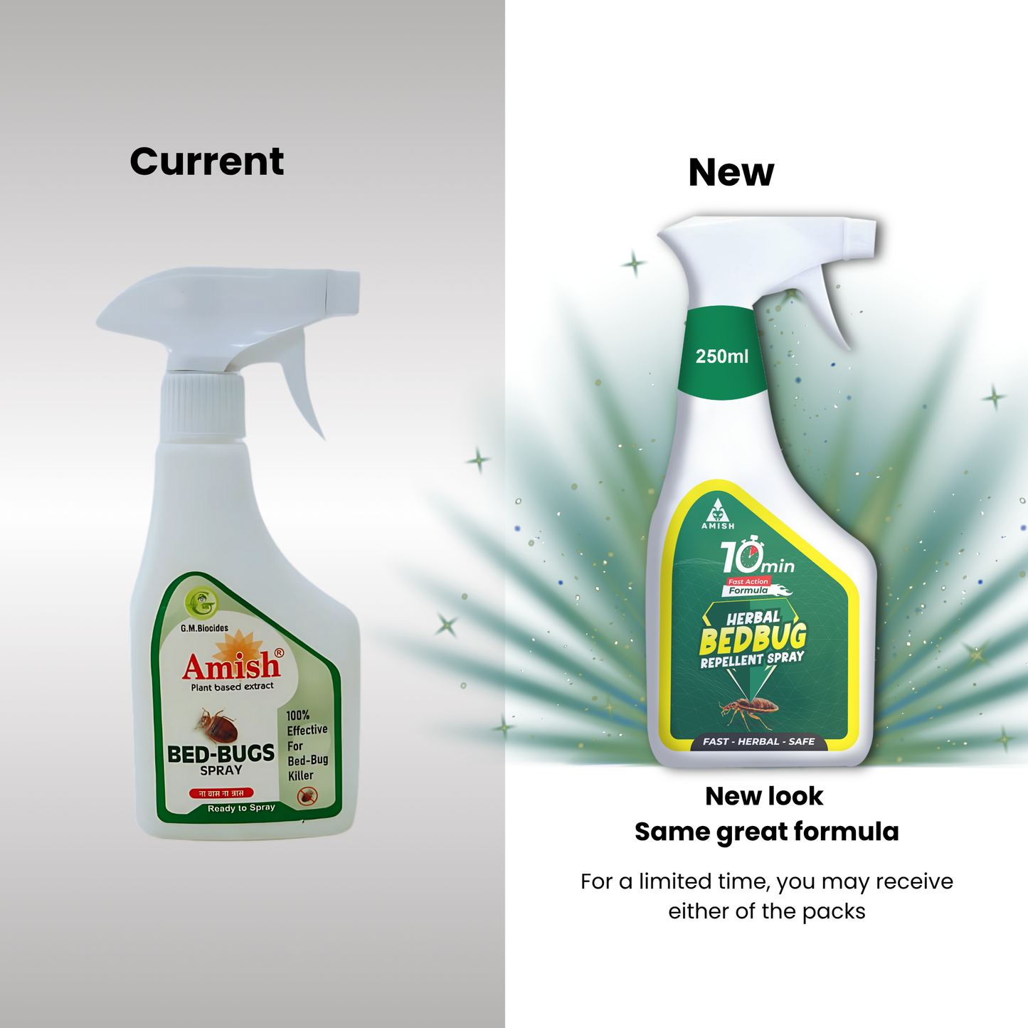 Amish Herbal Bed Bug Spray 250 ml|10 Minutes Formula |Removes Entire BedBug colony