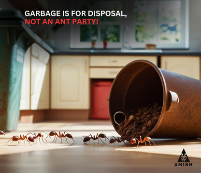 Ant Killer Powder Powerful & Effective Solution