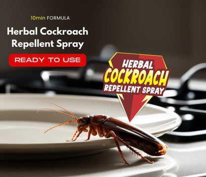 Amish Herbal Cockroach Spray 100ml, 10Minutes Result Guaranty