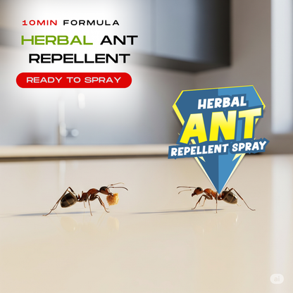 Amish Herbal Ant Spray 250ml Pack-1|10 Minutes Formula |Removes Entire Ant colony|Powerful 100% Organic No Chemical Ant Repellent Spray for Home Kitchen Office Garden Long Lasting Protection