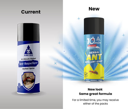 Amish Ant Spray Aerosol Spray 200ML Ready To Use Spray, Plant Based Extract