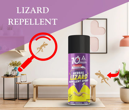 Amish Aerosol Ultra Lizard Spray 200Ml, Amish Say Goodbye To Lizard