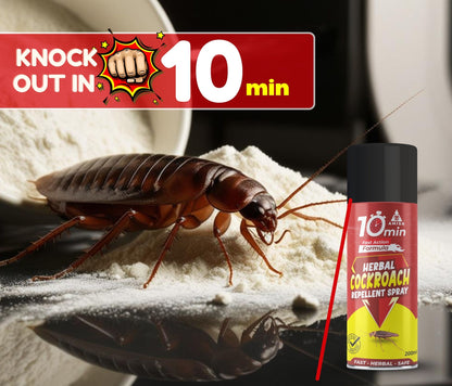 Amish Aerosol Cockroach Spray 200ml Special Ready To Use Spray