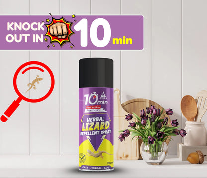Amish Aerosol Ultra Lizard Spray 200Ml, Amish Say Goodbye To Lizard