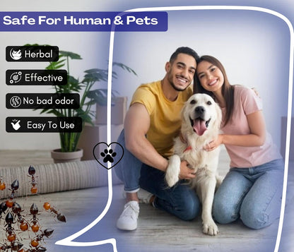 Amish Herbal Ant Spray 250ml Pack-1|10 Minutes Formula |Removes Entire Ant colony|Powerful 100% Organic No Chemical Ant Repellent Spray for Home Kitchen Office Garden Long Lasting Protection