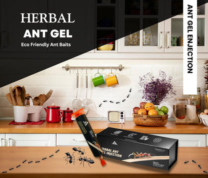 Amish A Herbal Ant Gel Injection | 10 Minutes Formula | Removes Entire Ant Infestation| Powerful Ant Repellent for Home | 100% Organic Ant Gel Bait for Home (Ant Injection)
