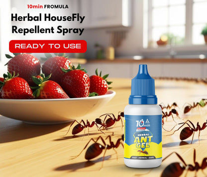 Amish A Herbal Ant Gel Pack of 2 | 10 Minutes Formula, 100% Organic Ant Gel Bait for Home & Kitchen Office & Garden